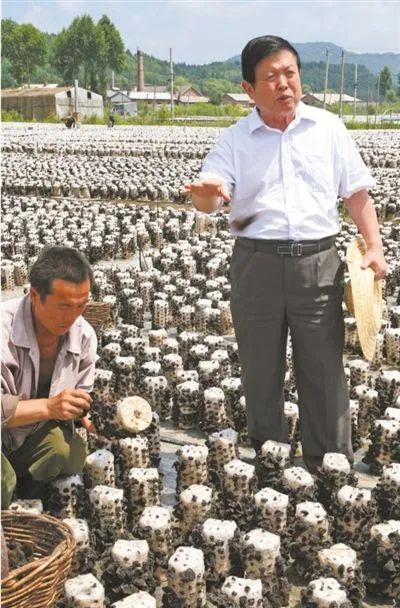 小蘑菇为何能撑起大产业？李玉院士告诉你