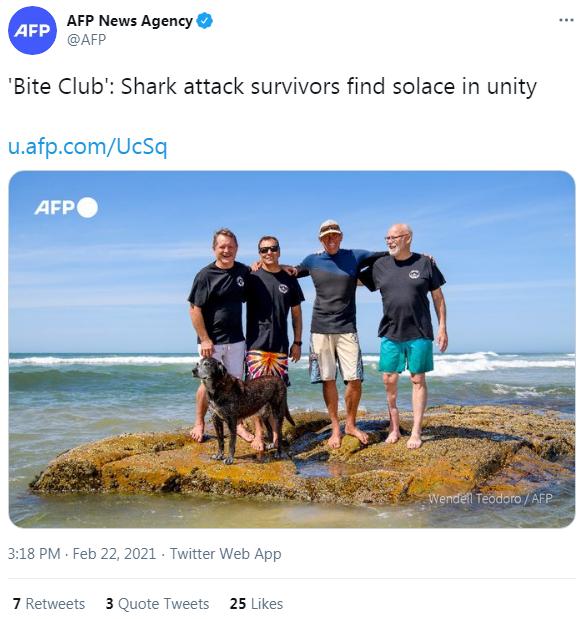 寻求慰藉，全球被鲨鱼袭击幸存者组“齿痕俱乐部”