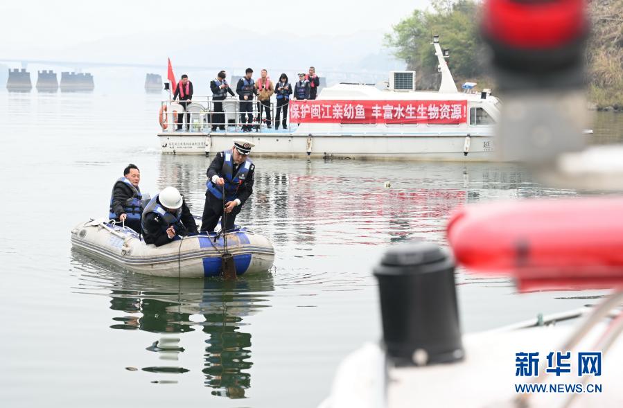 福建省闽江流域启动为期4个月的禁渔期