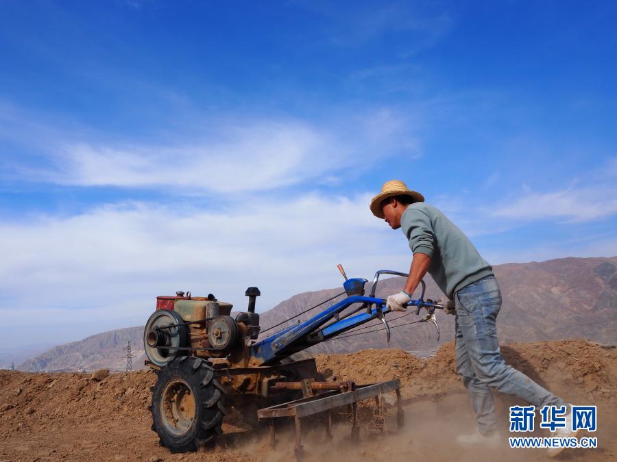 黄河岸边春来早——易地扶贫搬迁村的春耕故事