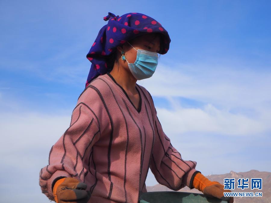 黄河岸边春来早——易地扶贫搬迁村的春耕故事