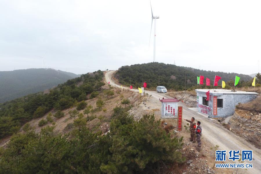 打虎岭林场守护者