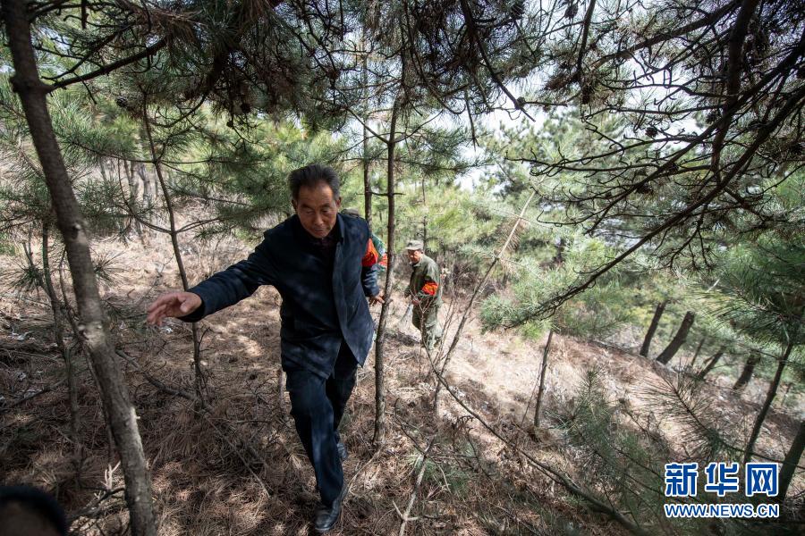 打虎岭林场守护者