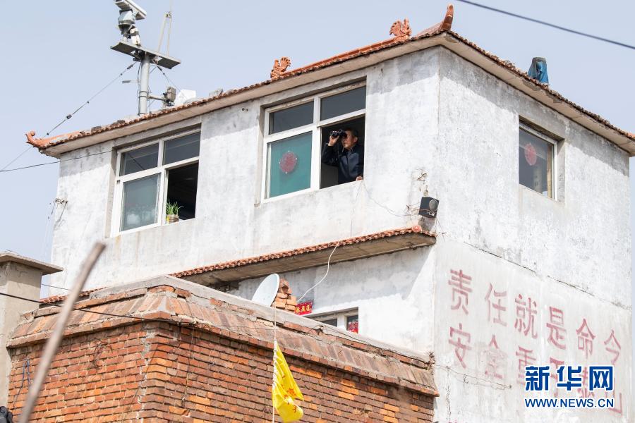 打虎岭林场守护者