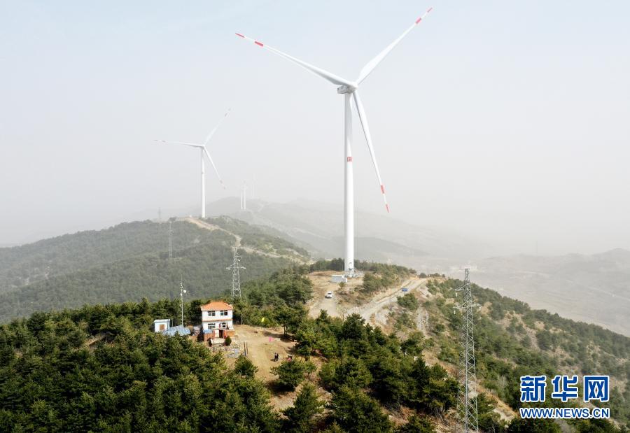 打虎岭林场守护者