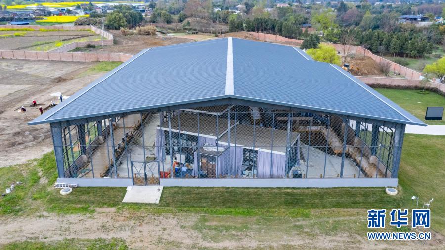 三星堆遗址“再惊天下” 现已出土重要文物500余件