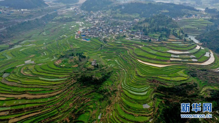 贵州丹寨：高要梯田春光好