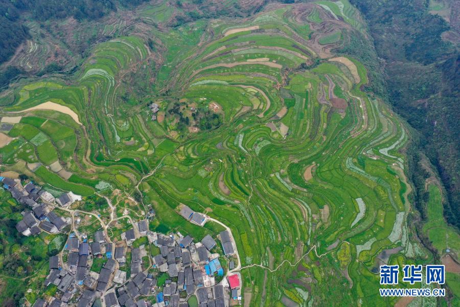 贵州丹寨：高要梯田春光好
