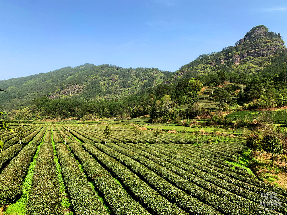 时政新闻眼丨 习近平再赴福建考察,这些关注点一以贯之
