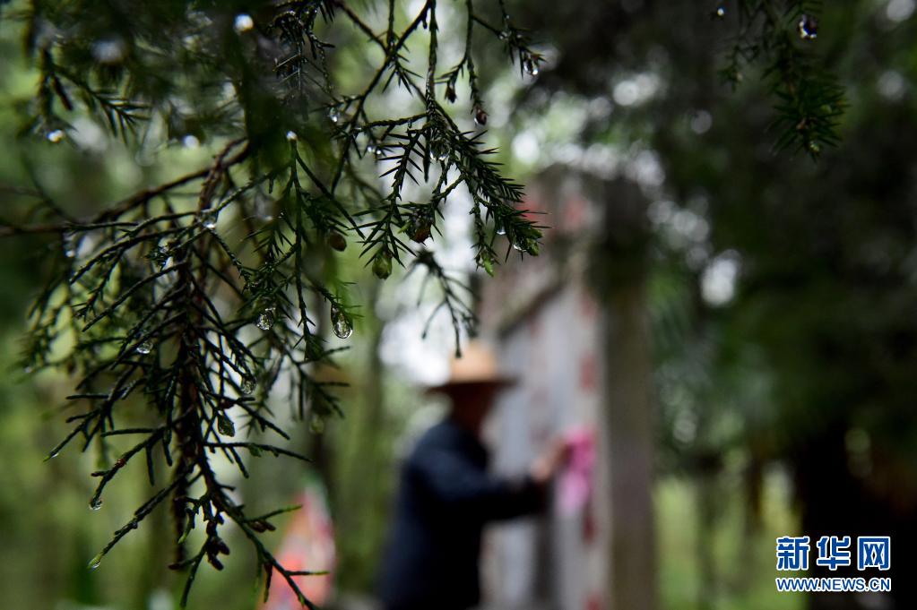 图片故事｜耄耋夫妻：一片丹心护英魂