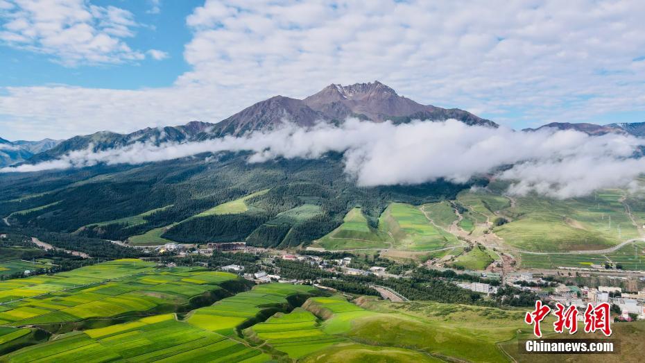 Aerial photo of the beautiful scenery of Qilian Mountains in summer