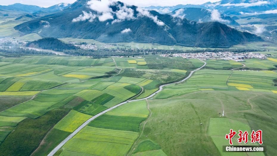 Aerial photo of the beautiful scenery of Qilian Mountains in summer
