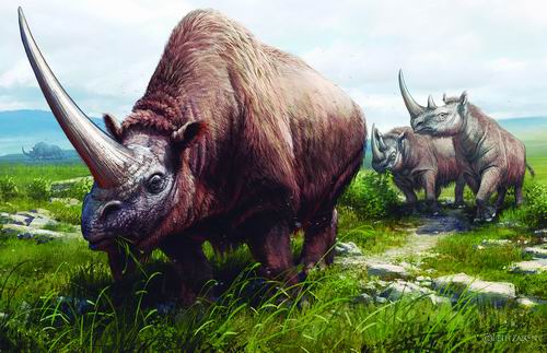 极小种群保护有了新发现