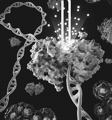 “新钥匙”打开乳腺癌耐药“锁”