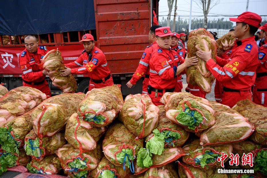 河南卫辉1.3万斤灾后复种蔬菜运至山西洪灾地区