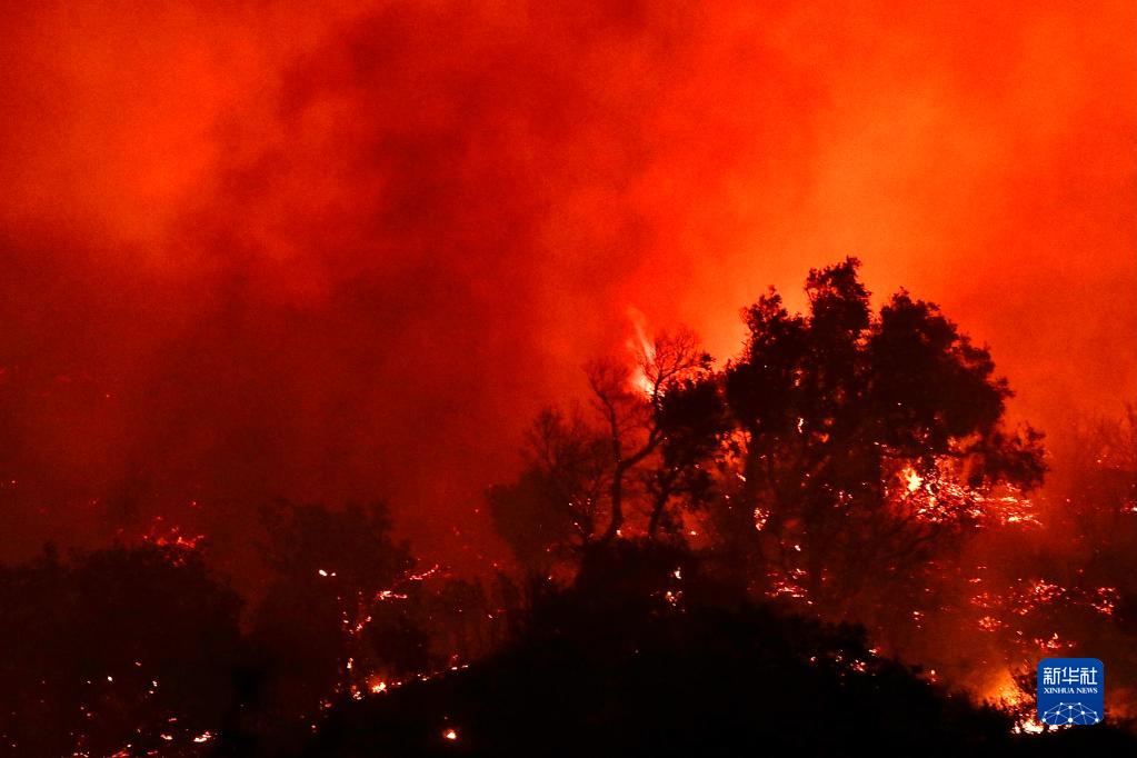 “阿利萨尔”山火在美国加州快速蔓延