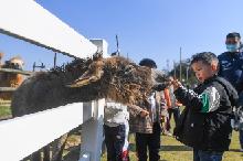 浙江湖州：发展特色乡村旅游 助力乡村振兴