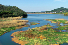 初冬霜色浓 湿地别样美