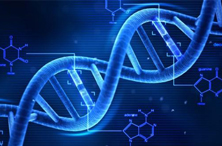 人体内75%基因是垃圾？“垃圾DNA”吐露人与猩猩差异