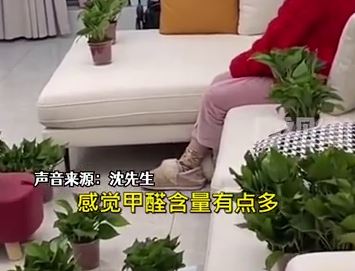 男子买54盆绿萝摆满新房除甲醛：想赶年底入住，至少有心理安慰