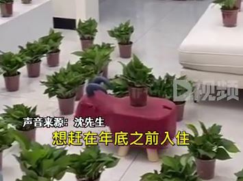 男子买54盆绿萝摆满新房除甲醛：想赶年底入住，至少有心理安慰