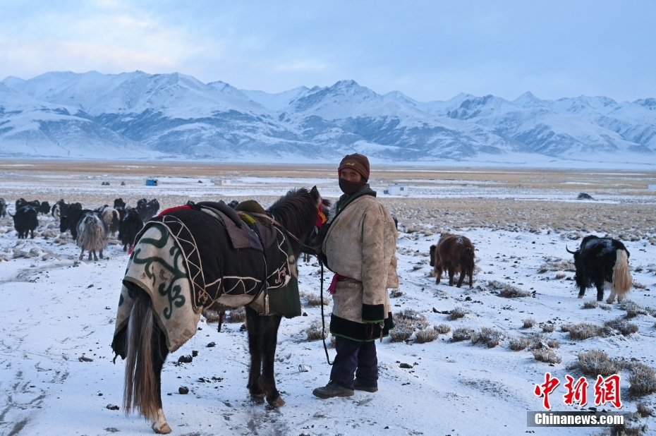 西藏藏北雪山下 牧人的“天堂草原”