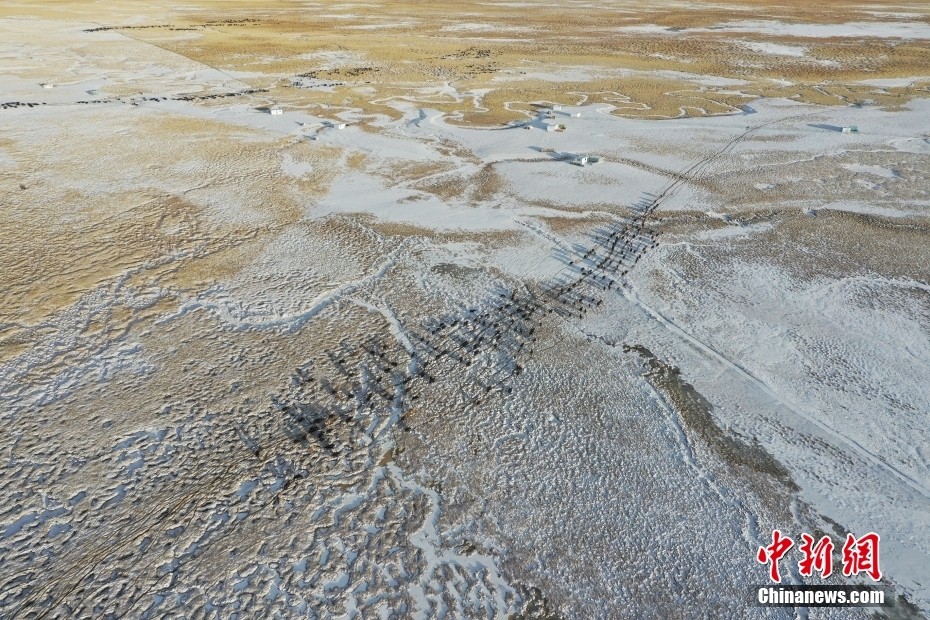 西藏藏北雪山下 牧人的“天堂草原”