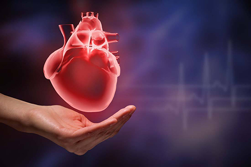 心脏瓣膜病变 久拖合并“巨大心”