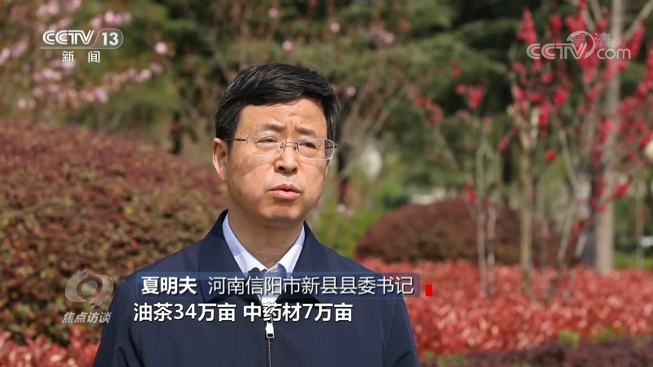 河南信阳市新县县委书记夏明夫说:"现在全县发展茶叶30万亩,油茶34万