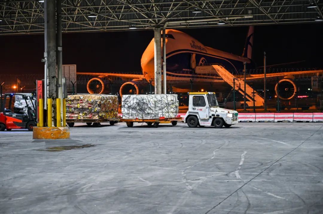 目的地上海紧缺物资来了