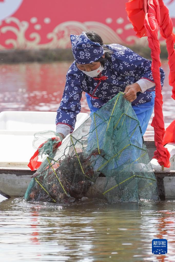 江苏盱眙小龙虾开捕