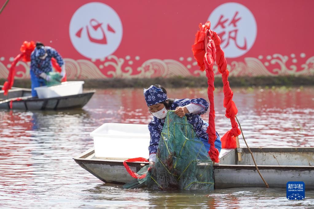 江苏盱眙小龙虾开捕