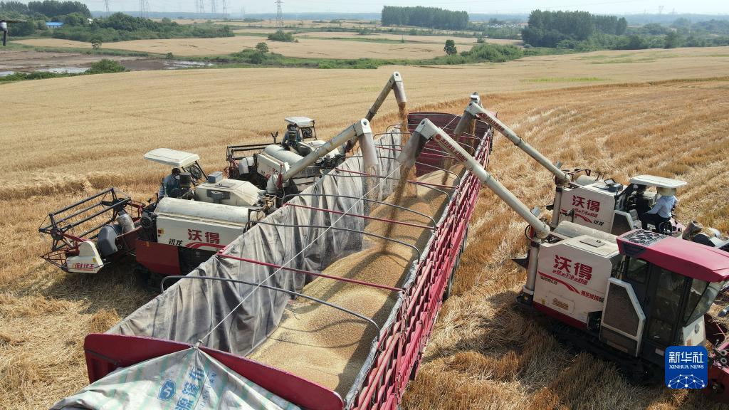 麦香粒满丰收忙