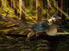 远古发现丨科学家发现恐龙或靠羽毛保暖挺过大灭绝