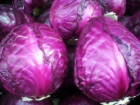 凉拌菜比热菜更易引起食物中毒 预防注意这5点