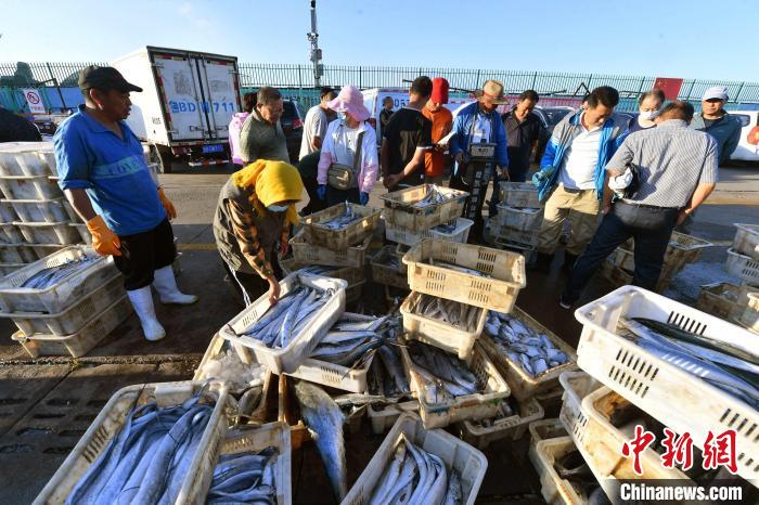 渔业经营者前来采购渔获。　王海滨 摄