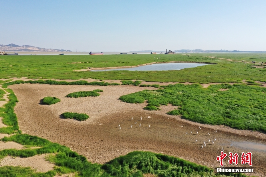 江西鄱阳湖千年石岛“水落墩出”