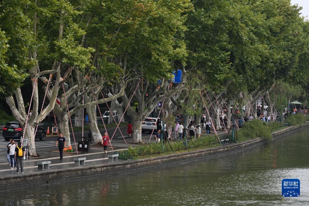 新华全媒＋丨浙江江苏等地积极应对台风“梅花”