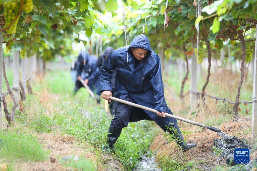 新华全媒＋丨浙江江苏等地积极应对台风“梅花”