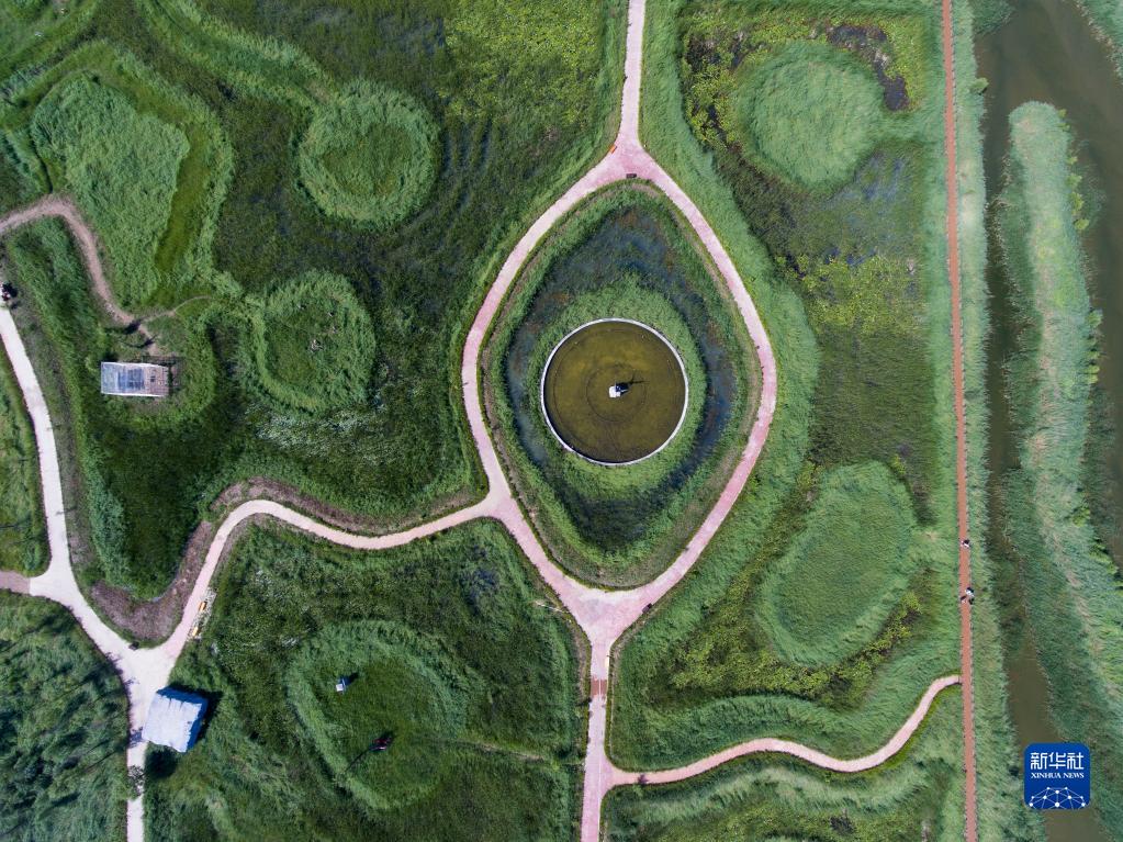 江河奔腾看中国丨海河流域:绿色发展 和谐共生 江河奔腾看中国丨海河流域:绿色发展 和谐共生