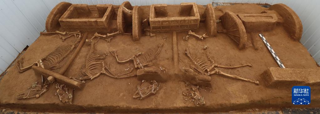 殷墟考古取得新进展 殷墟考古取得新进展