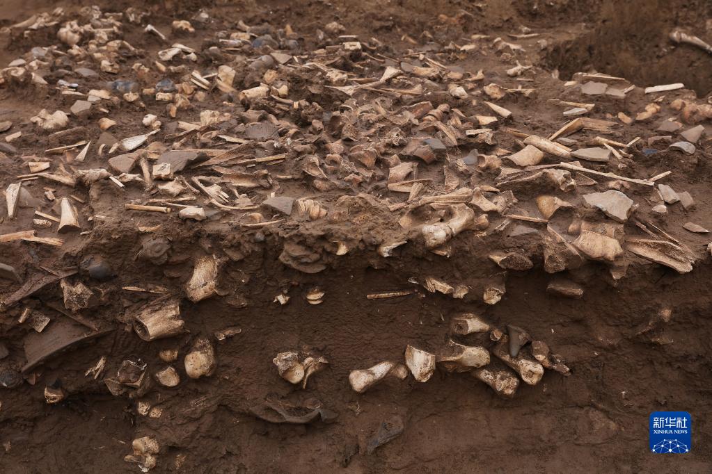 殷墟考古取得新进展 殷墟考古取得新进展