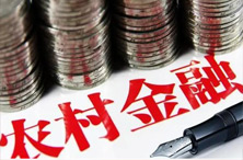 健全农村金融服务体系迫在眉睫