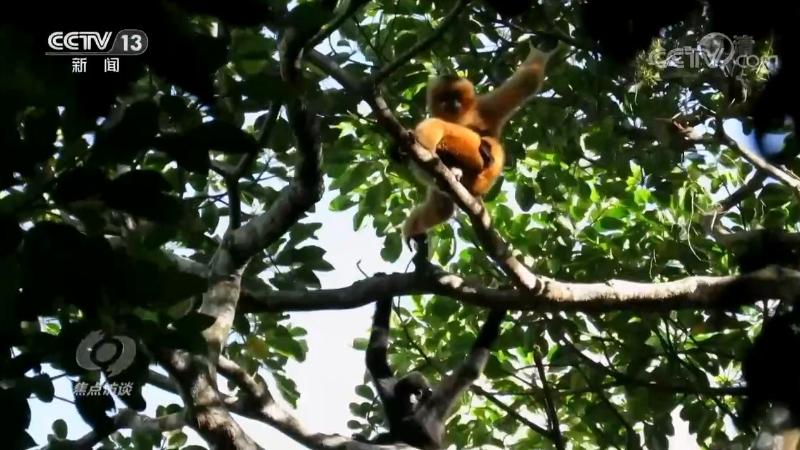 保护生物多样性 中国在行动