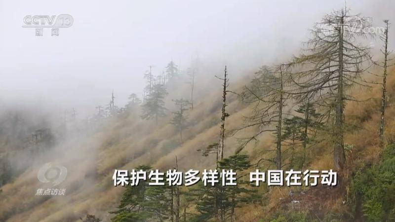 保护生物多样性 中国在行动