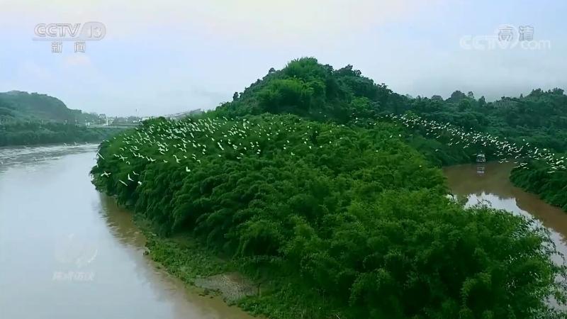 保护生物多样性 中国在行动