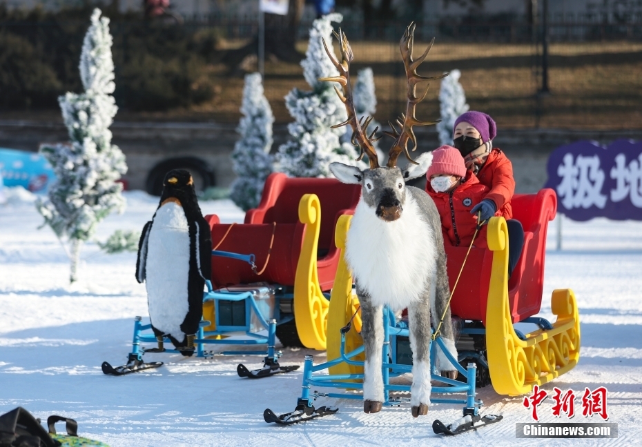 北京陶然亭公园雪场正式开放