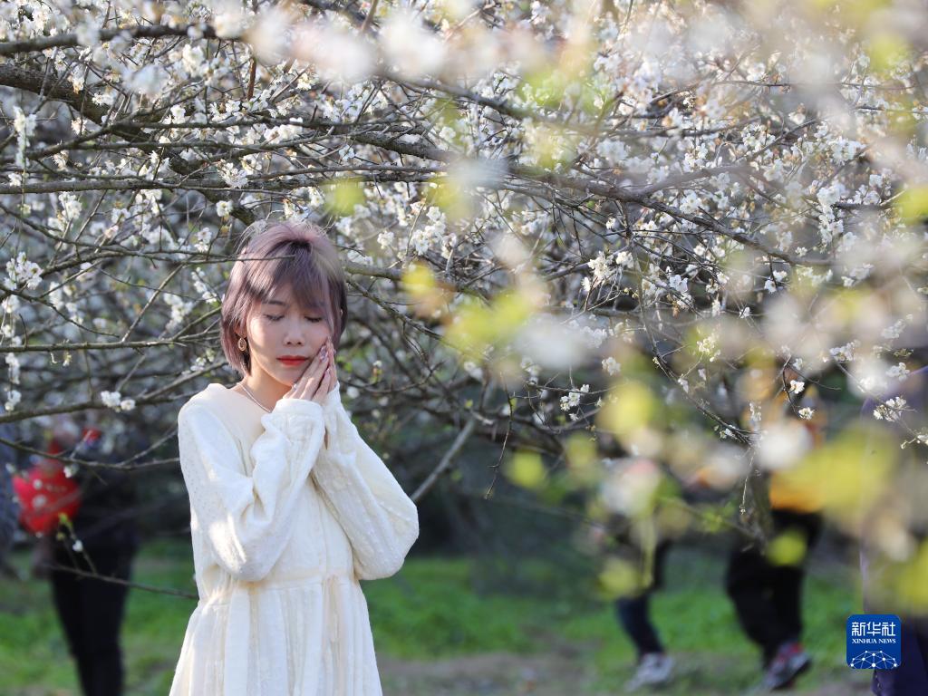 福州永泰：又到梅花飘香时