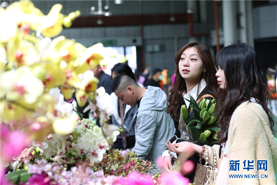 云南昆明：“亚洲花都”消费市场持续升温