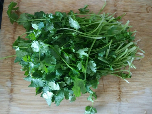 “爱不爱吃香菜”其实刻在你基因里